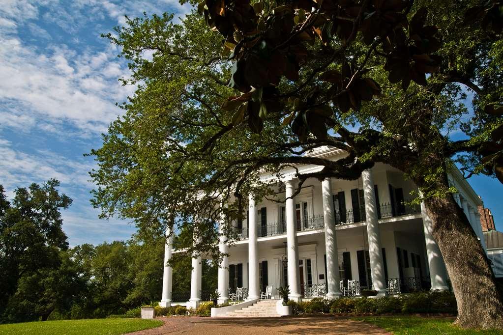 Dunleith Historic Inn Natchez Eksteriør bilde