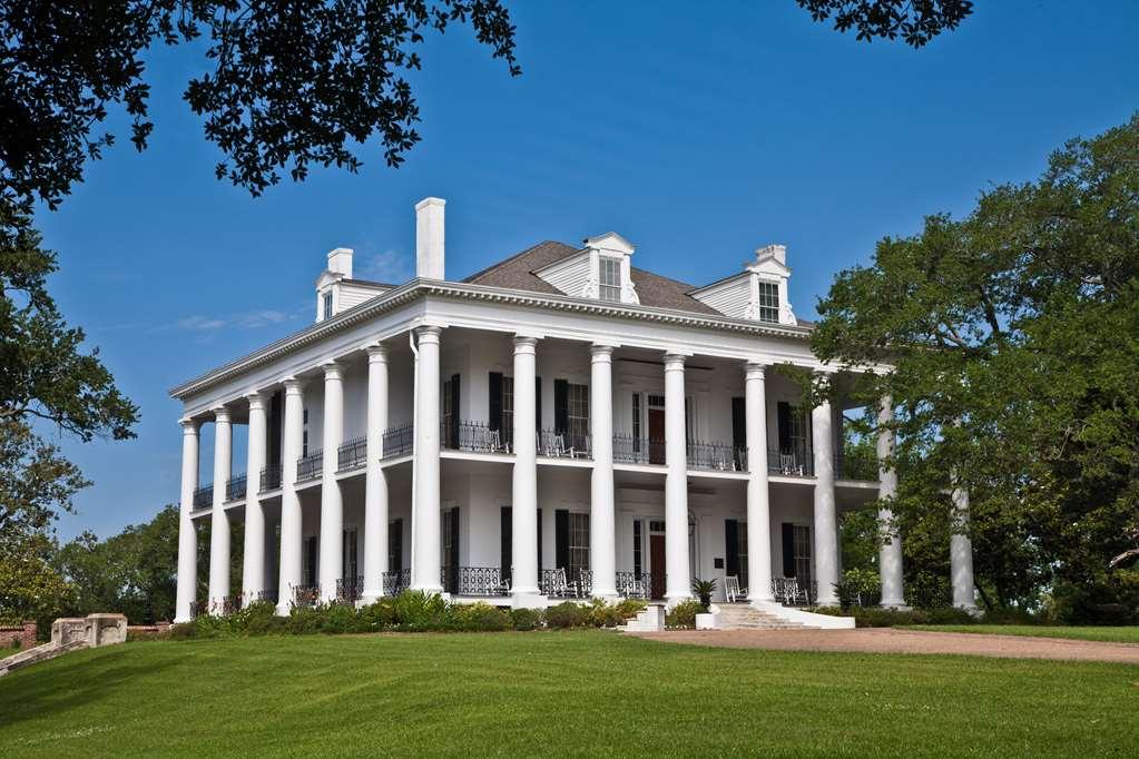Dunleith Historic Inn Natchez Eksteriør bilde