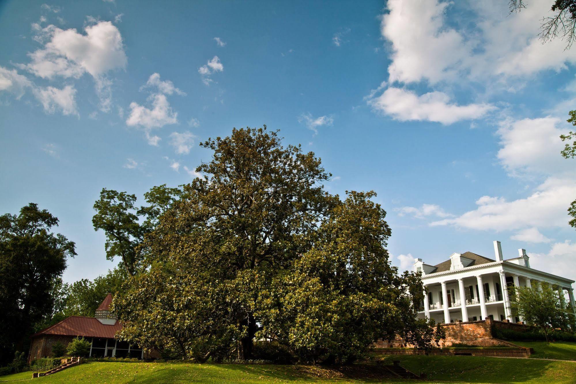 Dunleith Historic Inn Natchez Eksteriør bilde